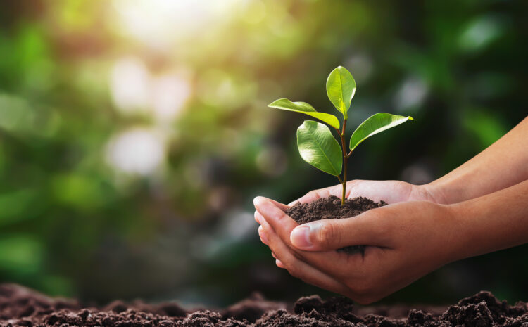  Licenciamento ambiental com certificado digital: como funciona?